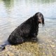 RRS_Fotogalerien_2010-07-18_Auesee_Wesel042