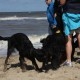 2012-07-29 RRS Holland Hundestrand_016