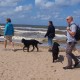2012-07-29 RRS Holland Hundestrand_050