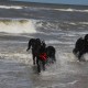 2012-07-29 RRS Holland Hundestrand_128