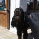 2012-07-29 RRS Holland Hundestrand_161