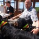 2012-07-29 RRS Holland Hundestrand_170