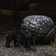 RRS_Fotogalerien_2012-08-26_IQ-Test002