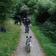 RRS_Fotogalerien_2012-08-26_IQ-Test014