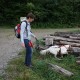 RRS_Fotogalerien_2012-08-26_IQ-Test034
