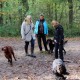 RRS_Fotogalerien_2013-11-03_Wald-Agility021