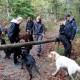 RRS_Fotogalerien_2013-11-03_Wald-Agility064