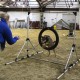 RRS_Fotogalerien_2014-02-15_Indoor-Agility002