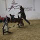 RRS_Fotogalerien_2014-02-15_Indoor-Agility110
