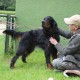 RRS_Fotogalerien_2014-06-19_Hunderennen011