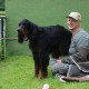 RRS_Fotogalerien_2014-06-19_Hunderennen012