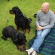 RRS_Fotogalerien_2014-06-19_Hunderennen034