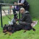 RRS_Fotogalerien_2014-06-19_Hunderennen040