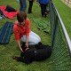 RRS_Fotogalerien_2014-06-19_Hunderennen065