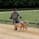 RRS_Fotogalerien_2014-06-19_Hunderennen104