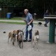 RRS_Fotogalerien_2014-06-19_Hunderennen107