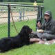 RRS_Fotogalerien_2014-06-19_Hunderennen099