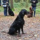 RRS_Fotogalerien_2014-10-26_Kartenspiel013