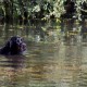 RRS_Fotogalerien_2015-07-26_Seehund-Abzeichen049