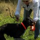 RRS_Fotogalerien_2015-07-26_Seehund-Abzeichen059