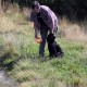 RRS_Fotogalerien_2015-07-26_Seehund-Abzeichen073