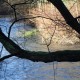 RRS_Fotogalerien_2016-01-10_Muengstener_Bruecke114