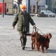 RRS_Fotogalerien_2016-02-28_Stadtagility002