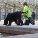 RRS_Fotogalerien_2016-02-28_Stadtagility069