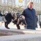 RRS_Fotogalerien_2016-02-28_Stadtagility072