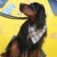 RRS_Fotogalerien_2016-02-28_Stadtagility106