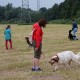 RRS_Fotogalerien_2016-06-12_Hundestunde020