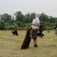 RRS_Fotogalerien_2016-06-12_Hundestunde048