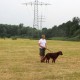 RRS_Fotogalerien_2016-06-12_Hundestunde074
