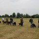 RRS_Fotogalerien_2016-06-12_Hundestunde087
