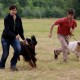 RRS_Fotogalerien_2016-06-12_Hundestunde094
