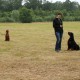 RRS_Fotogalerien_2016-06-12_Hundestunde095
