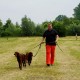RRS_Fotogalerien_2016-06-12_Hundestunde115
