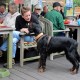 RRS_Fotogalerien_2016-08-21_Kraeuterspaziergang153
