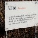 RRS_Fotogalerien_2017-01-22_Steinexkursion103
